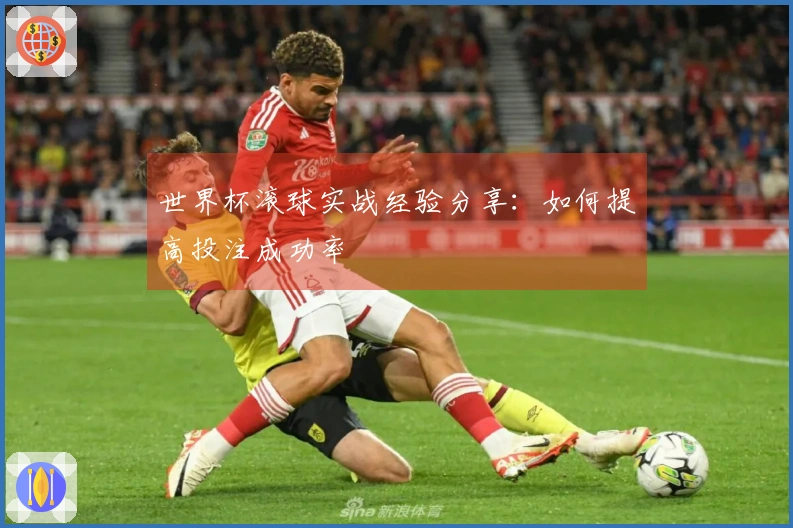 世界杯滚球实战经验分享：如何提高投注成功率
