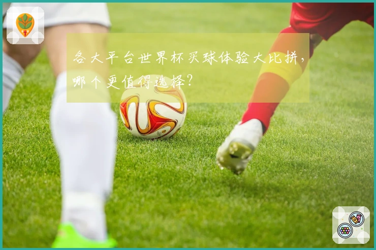各大平台世界杯买球体验大比拼，哪个更值得选择？