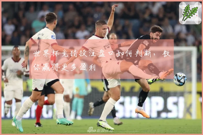 世界杯竞猜投注盘口如何判断，教你赢得更多盈利