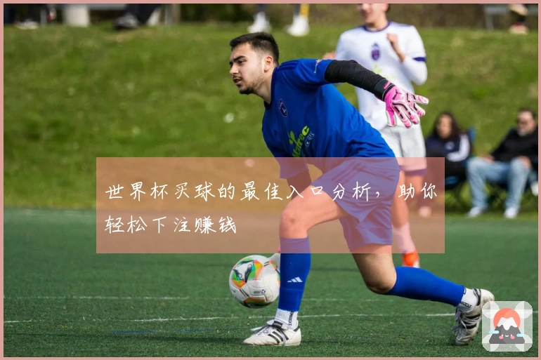世界杯买球的最佳入口分析，助你轻松下注赚钱