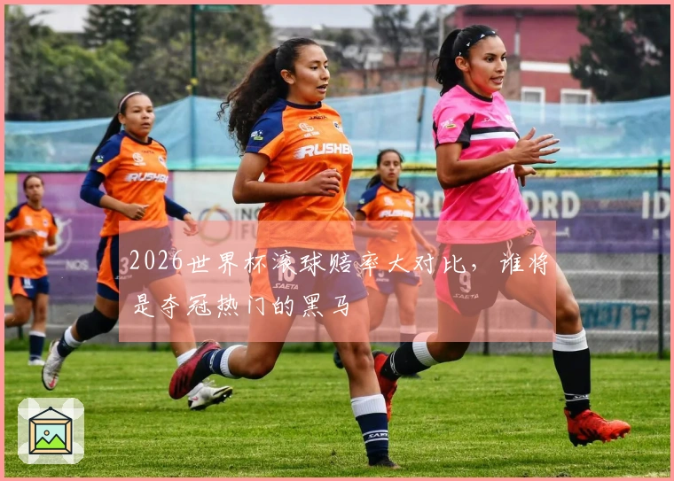 2026世界杯滚球赔率大对比，谁将是夺冠热门的黑马