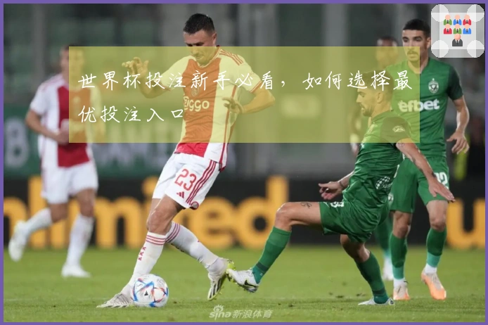 世界杯投注新手必看，如何选择最优投注入口