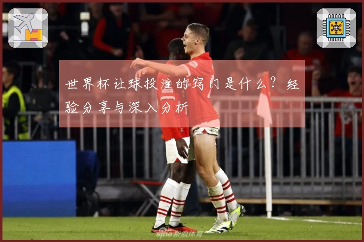 世界杯让球投注的窍门是什么？经验分享与深入分析