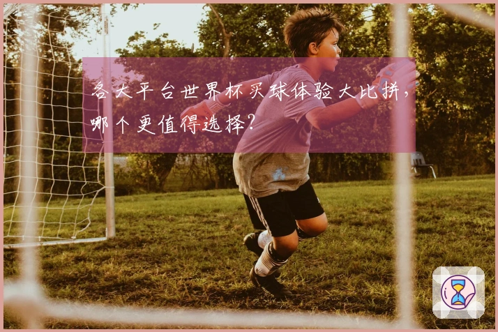 各大平台世界杯买球体验大比拼，哪个更值得选择？
