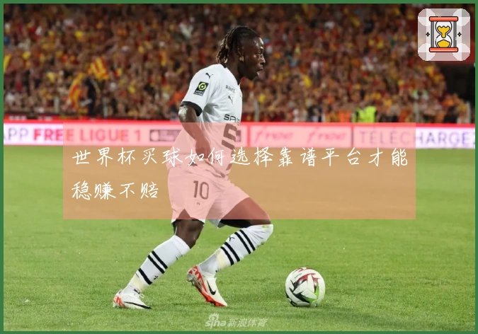 世界杯买球如何选择靠谱平台才能稳赚不赔