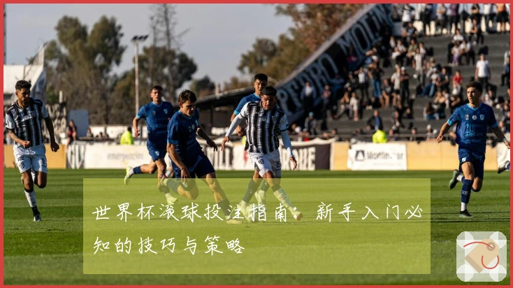 世界杯滚球投注指南：新手入门必知的技巧与策略
