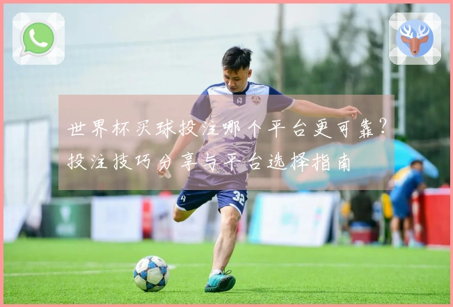 世界杯买球投注哪个平台更可靠？投注技巧分享与平台选择指南